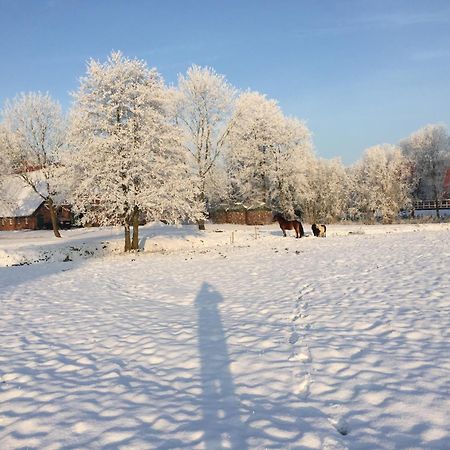 Ferienwohnung Suderfeld Brake  Dış mekan fotoğraf